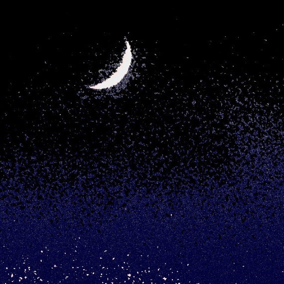 Disintegration detail — crescent moon in the granular night field